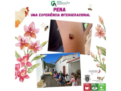 Atividade na Aldeia da Pena
