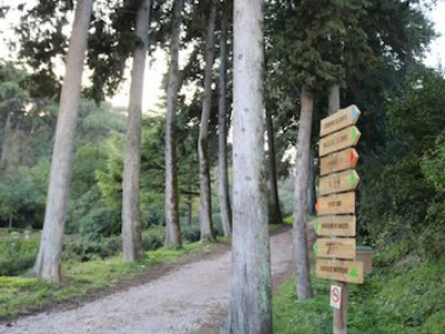 Mata dos Sete Montes
