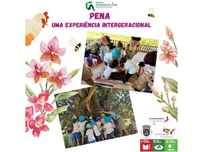 Atividade na Aldeia da Pena