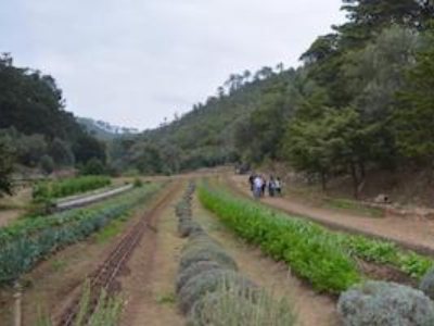 Horta