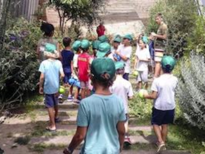 Atividades com as Escolas