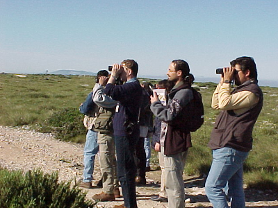 Birdwatching 