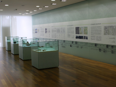 Exposição