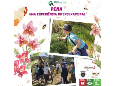 Atividade na Aldeia da Pena