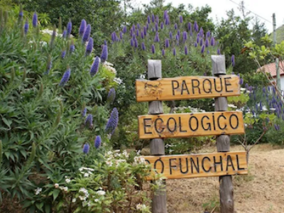 Centro de Receção e Interpretação do Parque Ecológico do Funchal